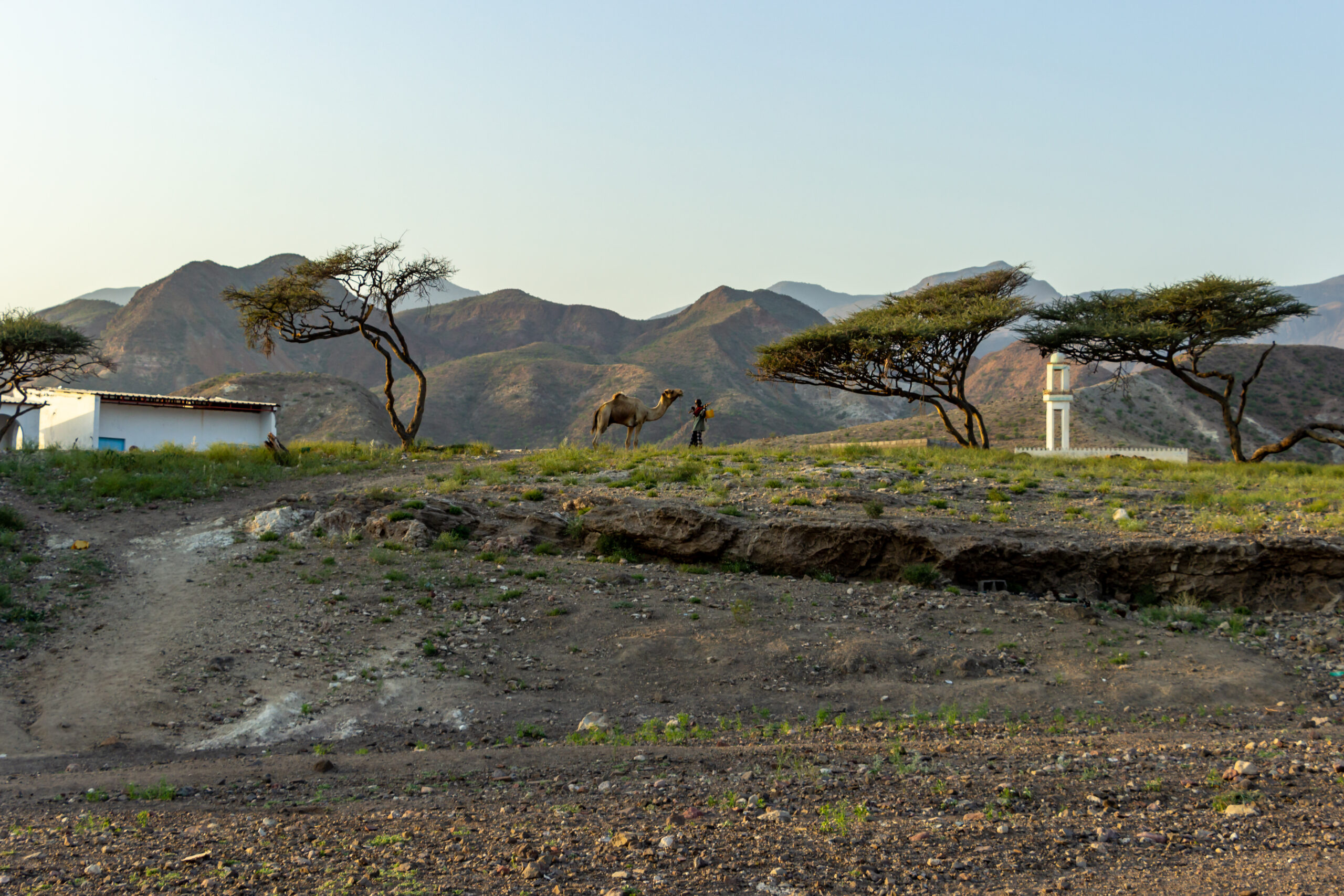 Tales of the Djibouti By Camille Massida